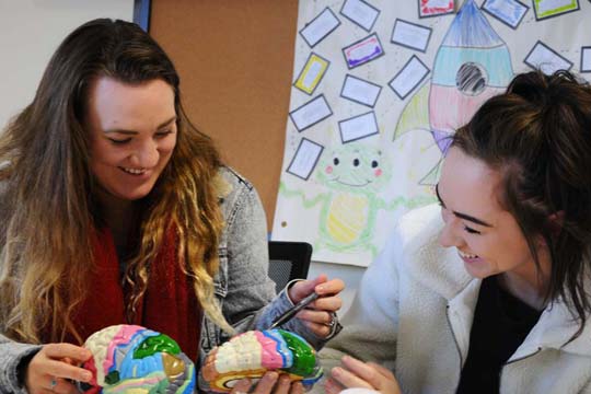 Two psychology students examine models of the brains